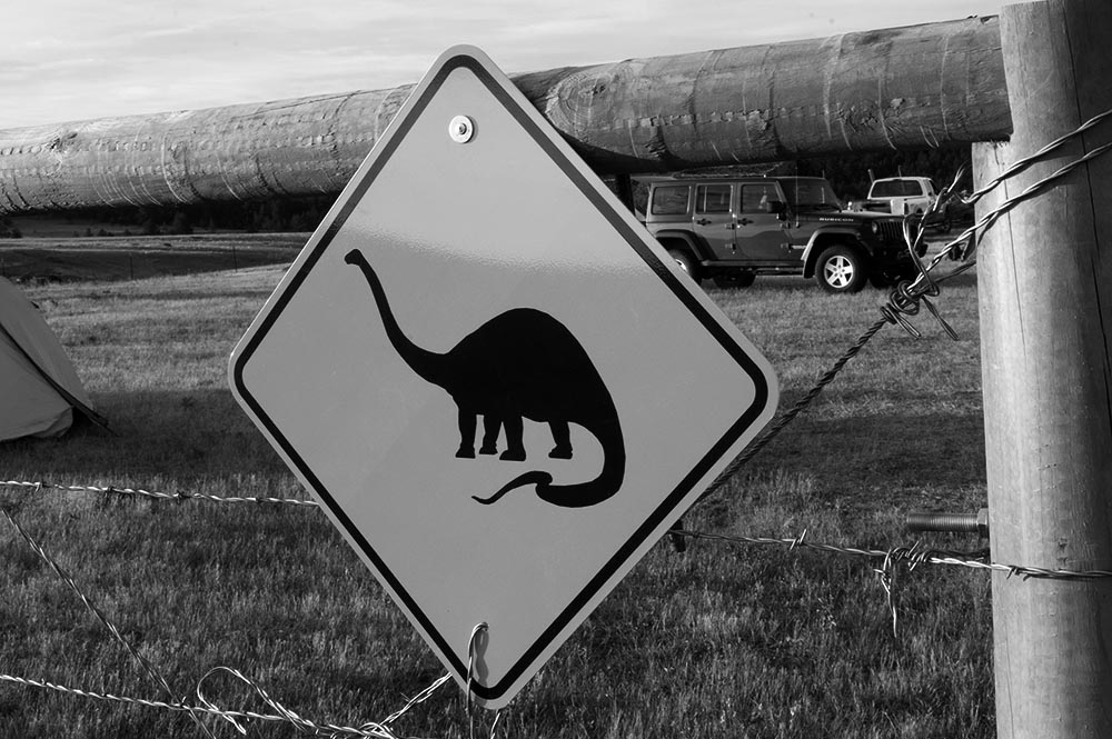 Discovery Digs to Dino Displays – Digging for Dinosaur Bones in Central Montana