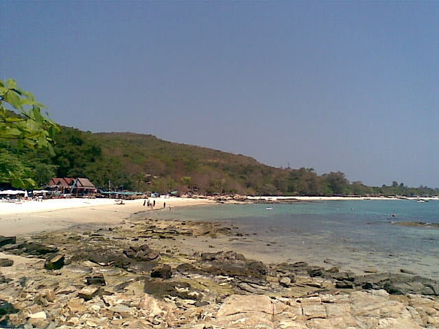 Gator Swallows Everything Needed for Jiu Jitsu Tournament in Thailand