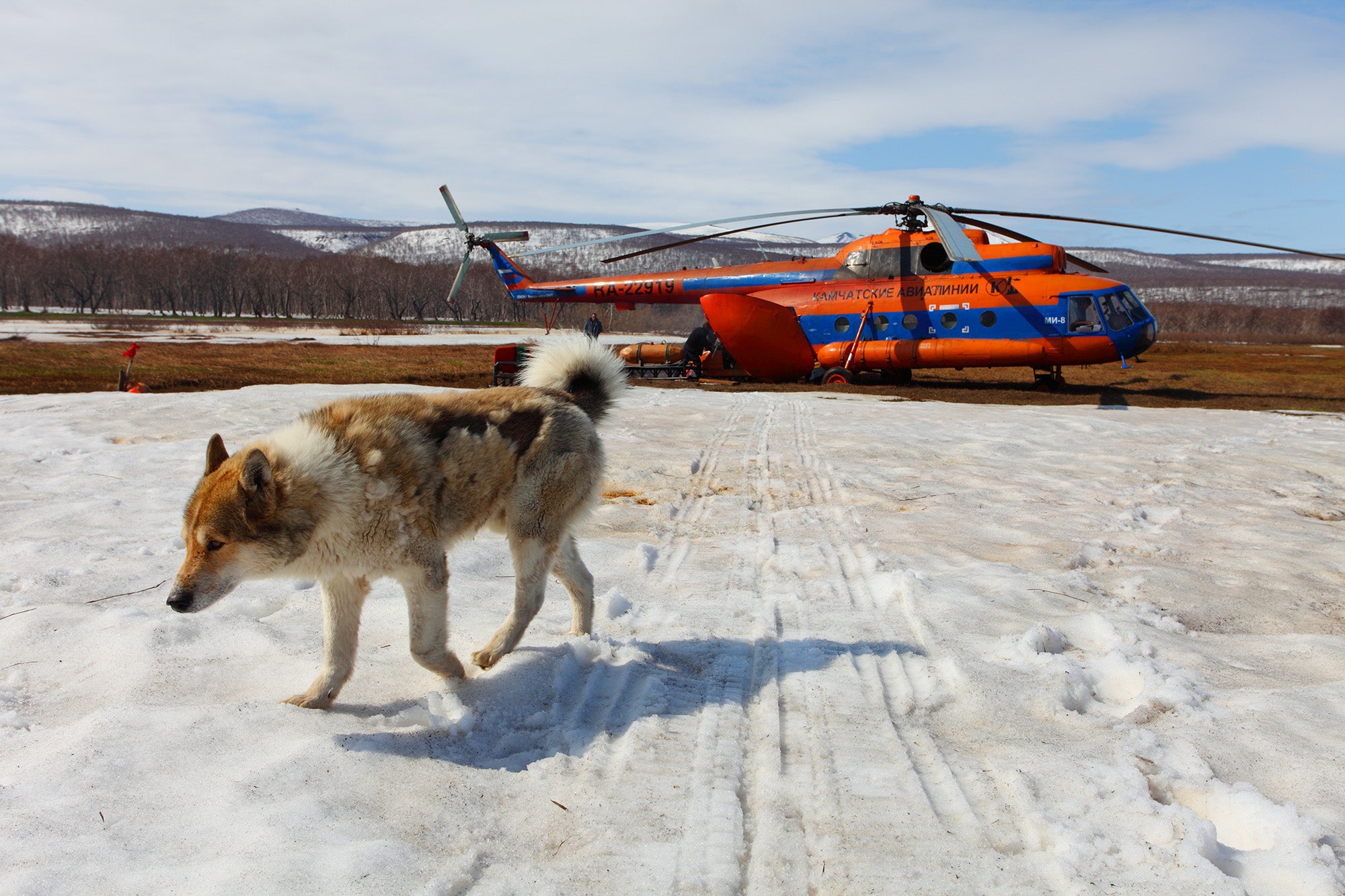 Safari Beano's Duffel Conquers the Kamchatka
