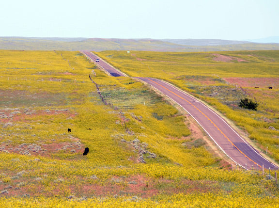 Mini Ruck: Perfect Partner for Holiday Weekend