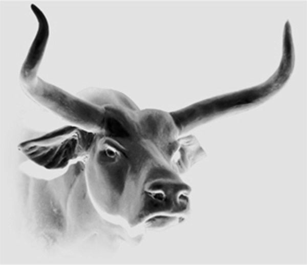 Oxx Bronze by Christopher Smith Galleries Celebrates Our 20 Years - A look back in time