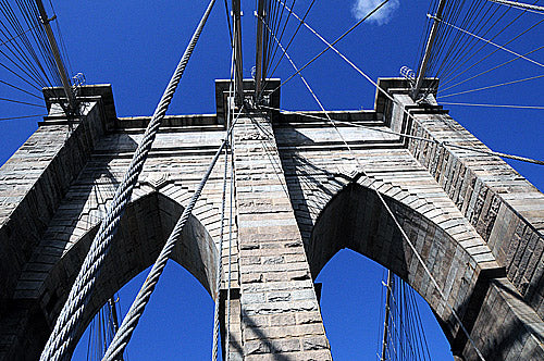 Surviving in this Economy Using the Digital Gold Rush