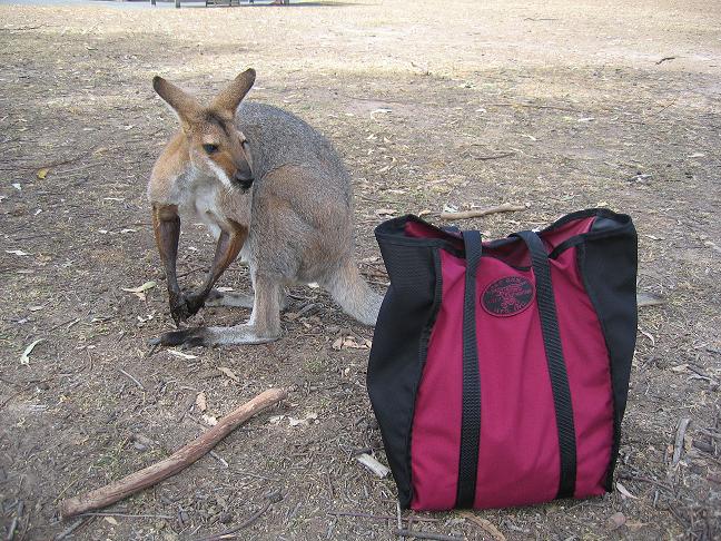 Travel Totes Get a G'day from Down Under