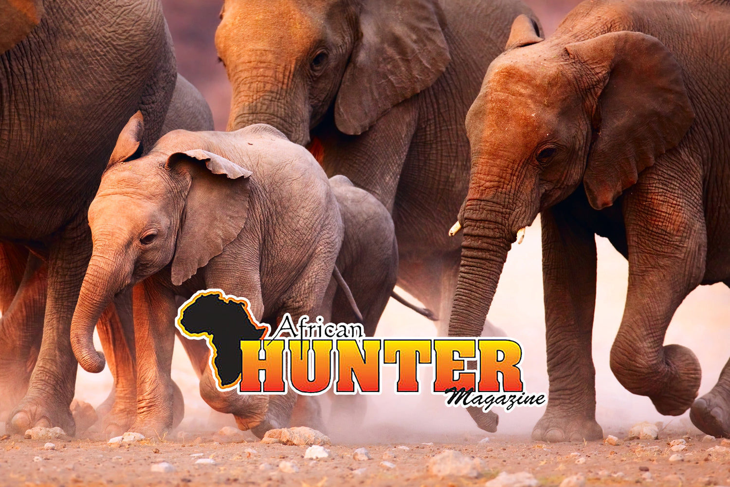 From Snow to Savannah by Ant Williams