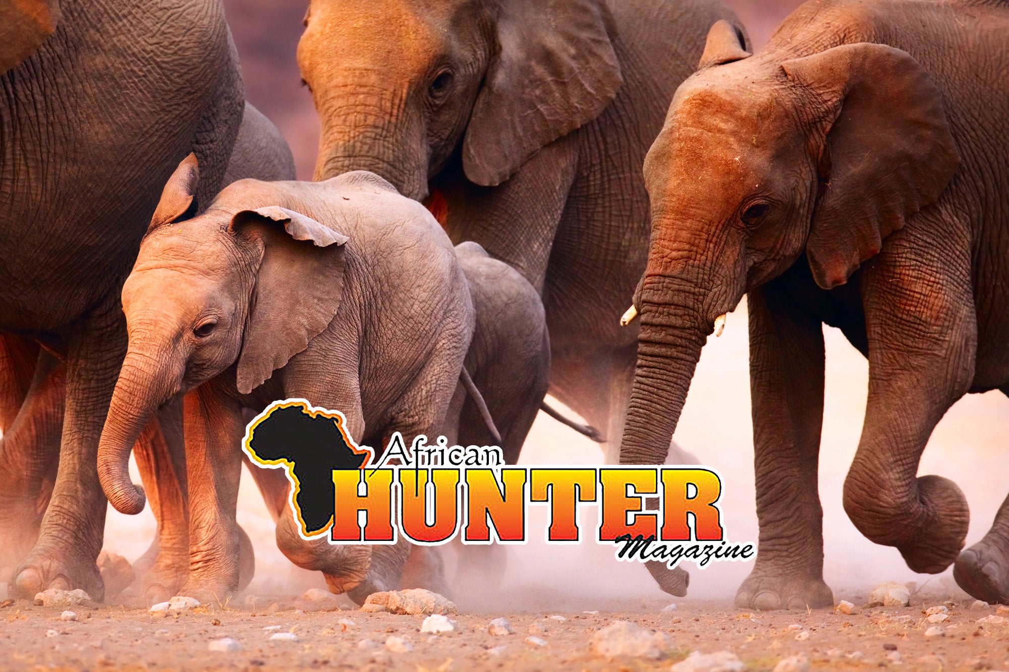 From Snow to Savannah by Ant Williams