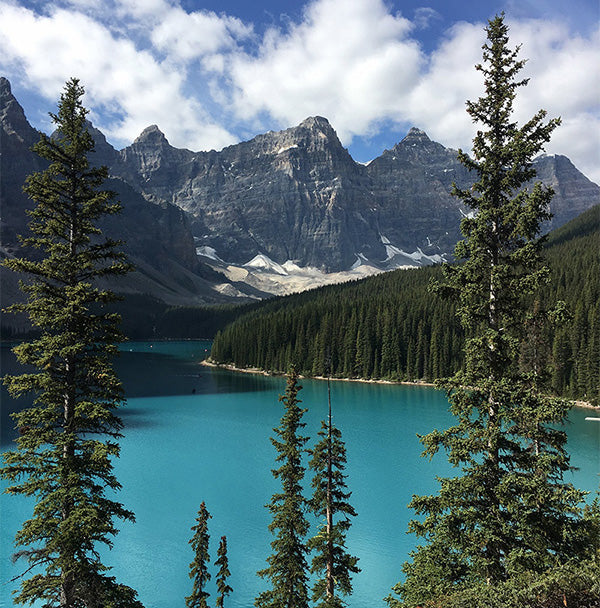 Pictures Tell a Story – Red Oxx Basks Under Towering Canadian Mountains
