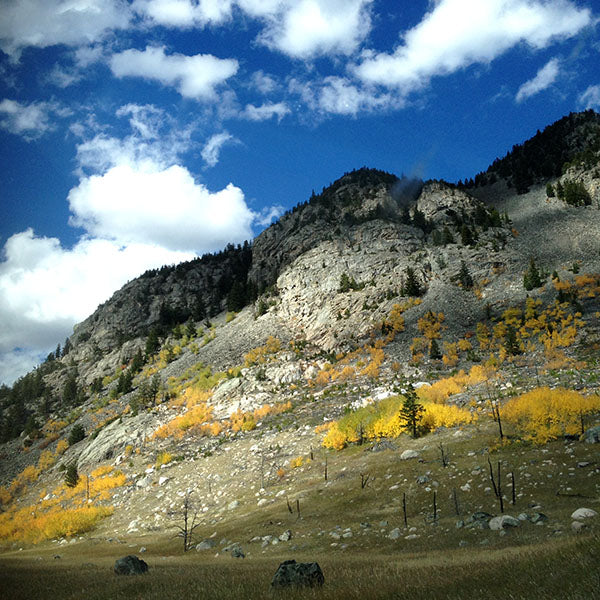 Red Oxx and Roadtrek – A Perfect Combo – The Beartooth Pass