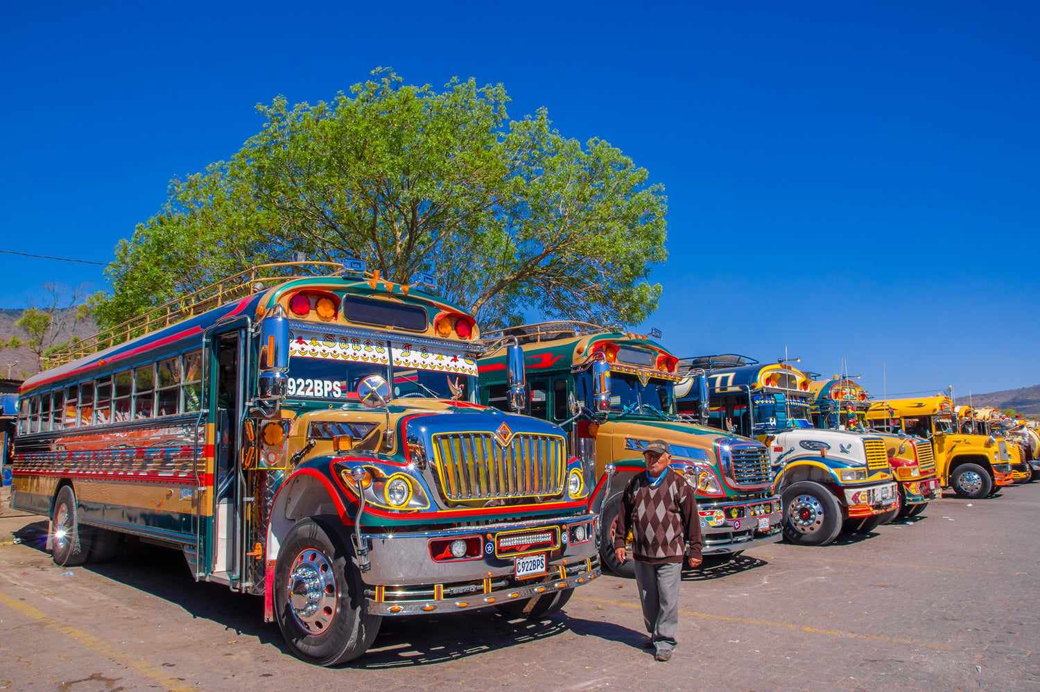 C-Ruck Rucksack Cruises Chicken Bus Connections