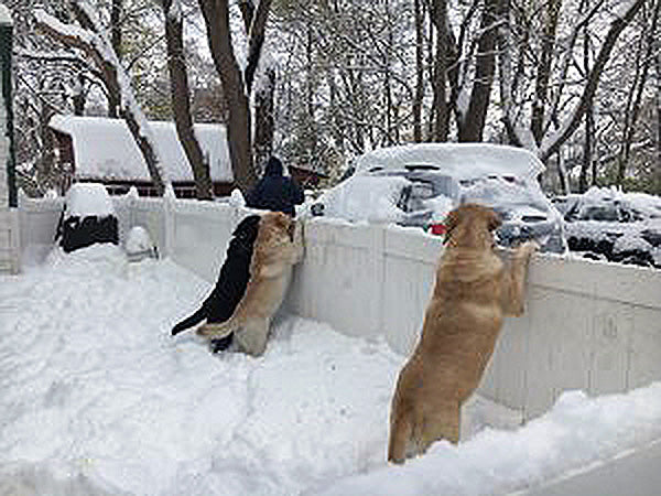 Adaptation Instead of Expectation – A Key to Successful Road Trip Travel