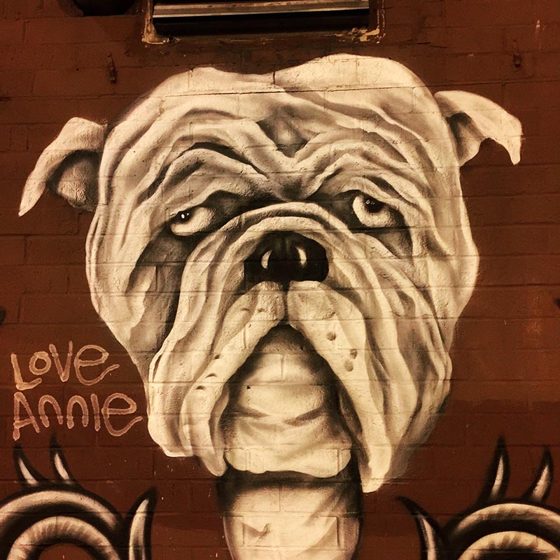 Montana Cinematographers and Mini Boss Bag Debut in NYC Documentary Premiere