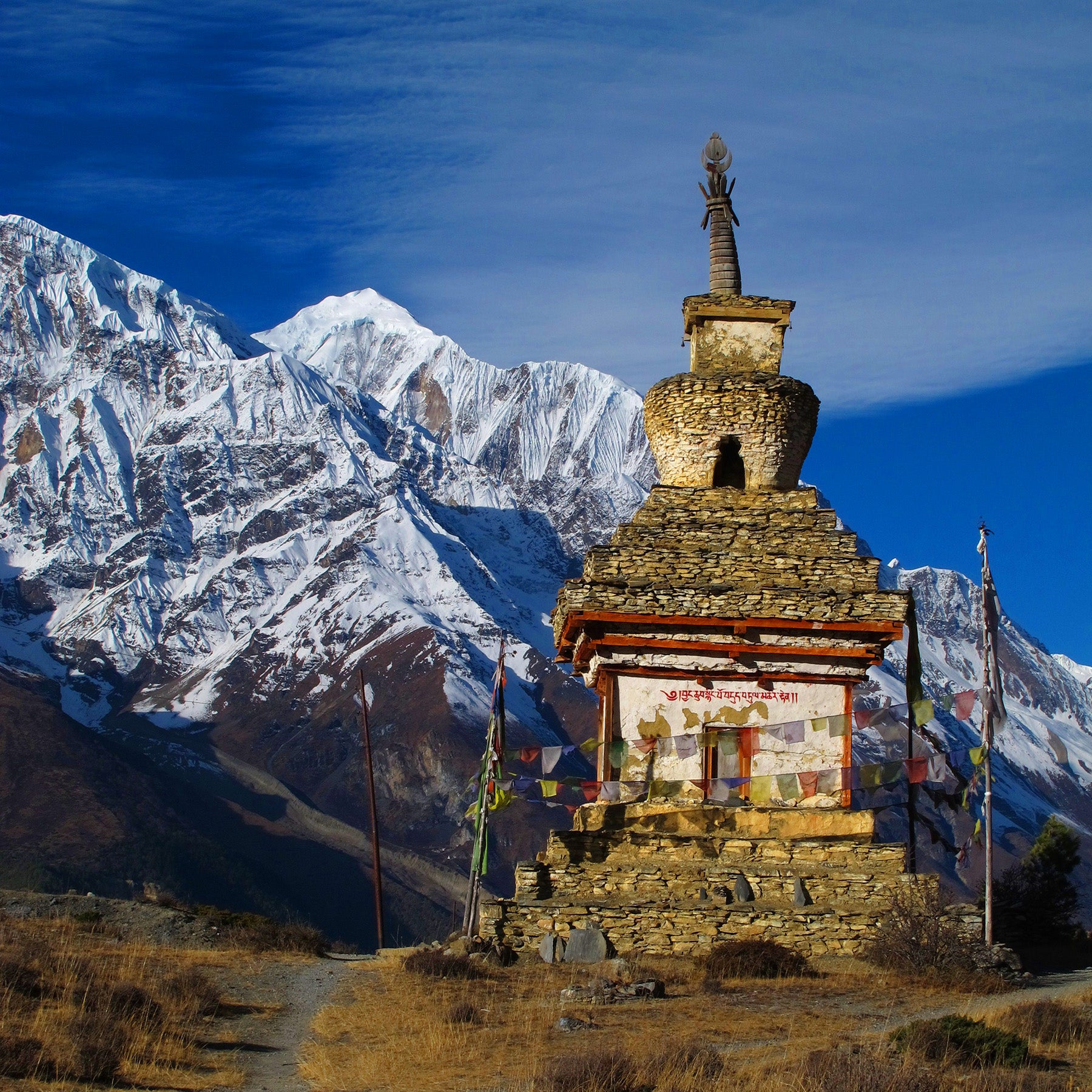 Red Oxx Rucksack Conquers the World's Highest Pass