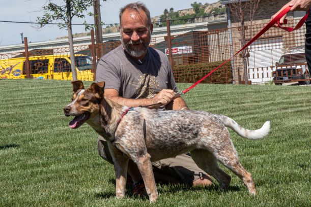 Jim Markel with Australian Shepard and Bark Dog Leash