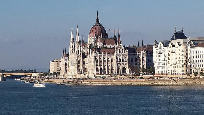 Red Oxx Sky Train Wins Over Skeptic After Long Stair Climb