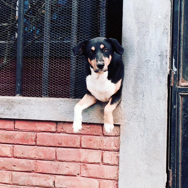 Minimalism Travel Ain’t Too Much Monkey Business – 2016 Guatemala Report