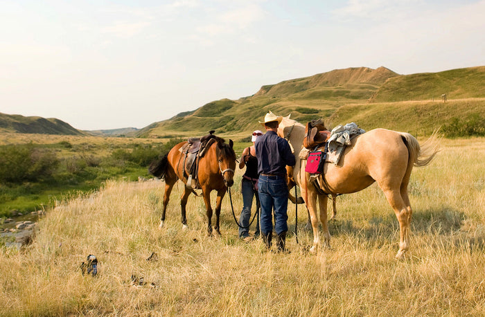 Montana's Legacy in Crafting Durable Lifetime-Quality Bags