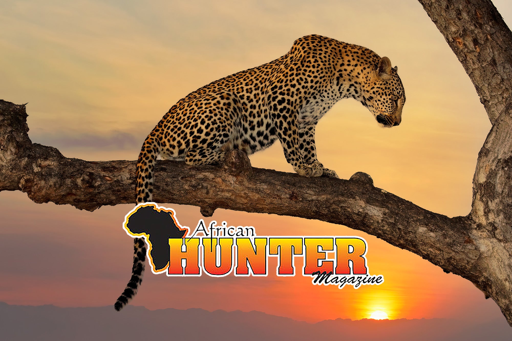 Editor of African Hunter Magazine Heaps High Praise