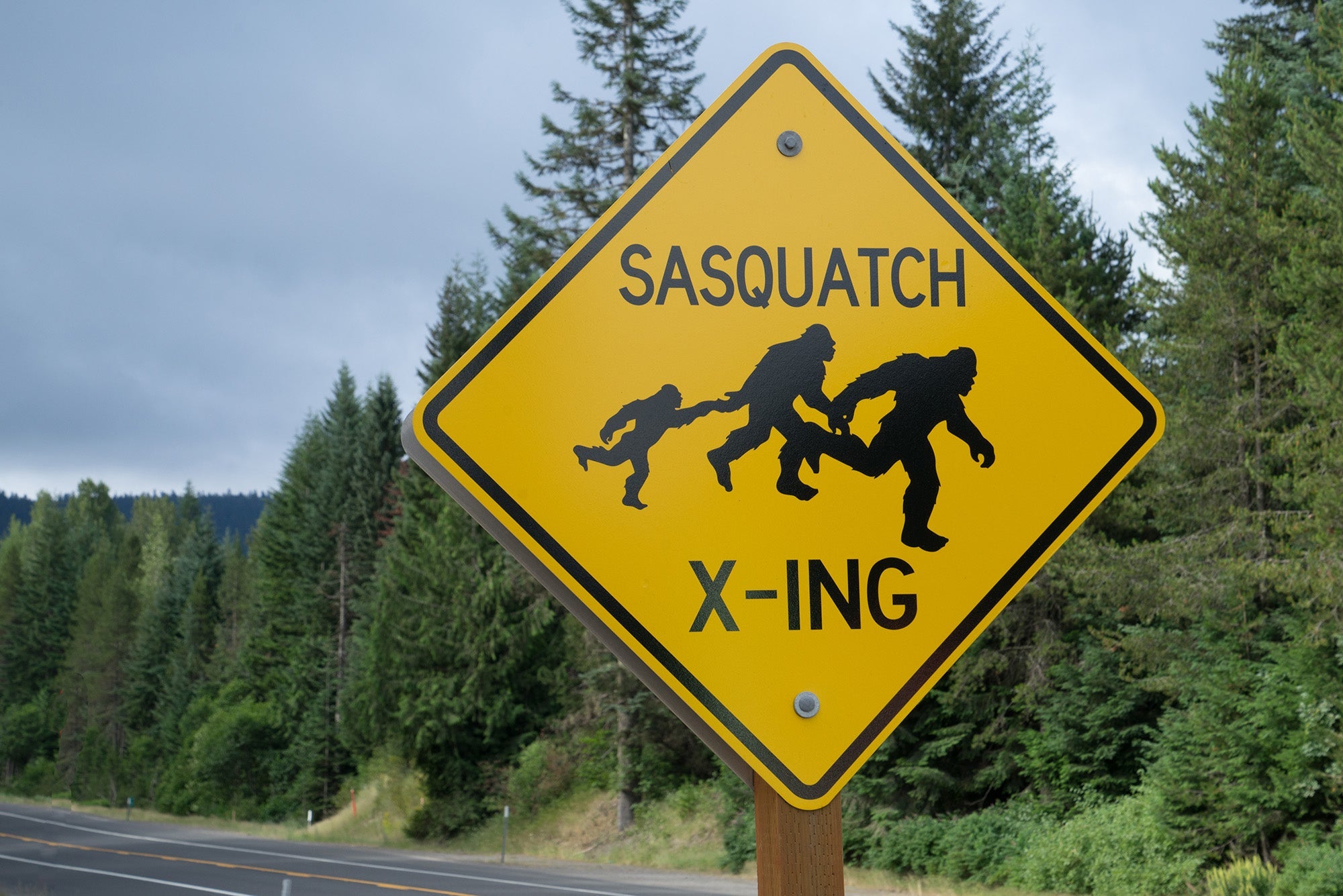 Bag Addict Spots Bigfoot with Briefcase