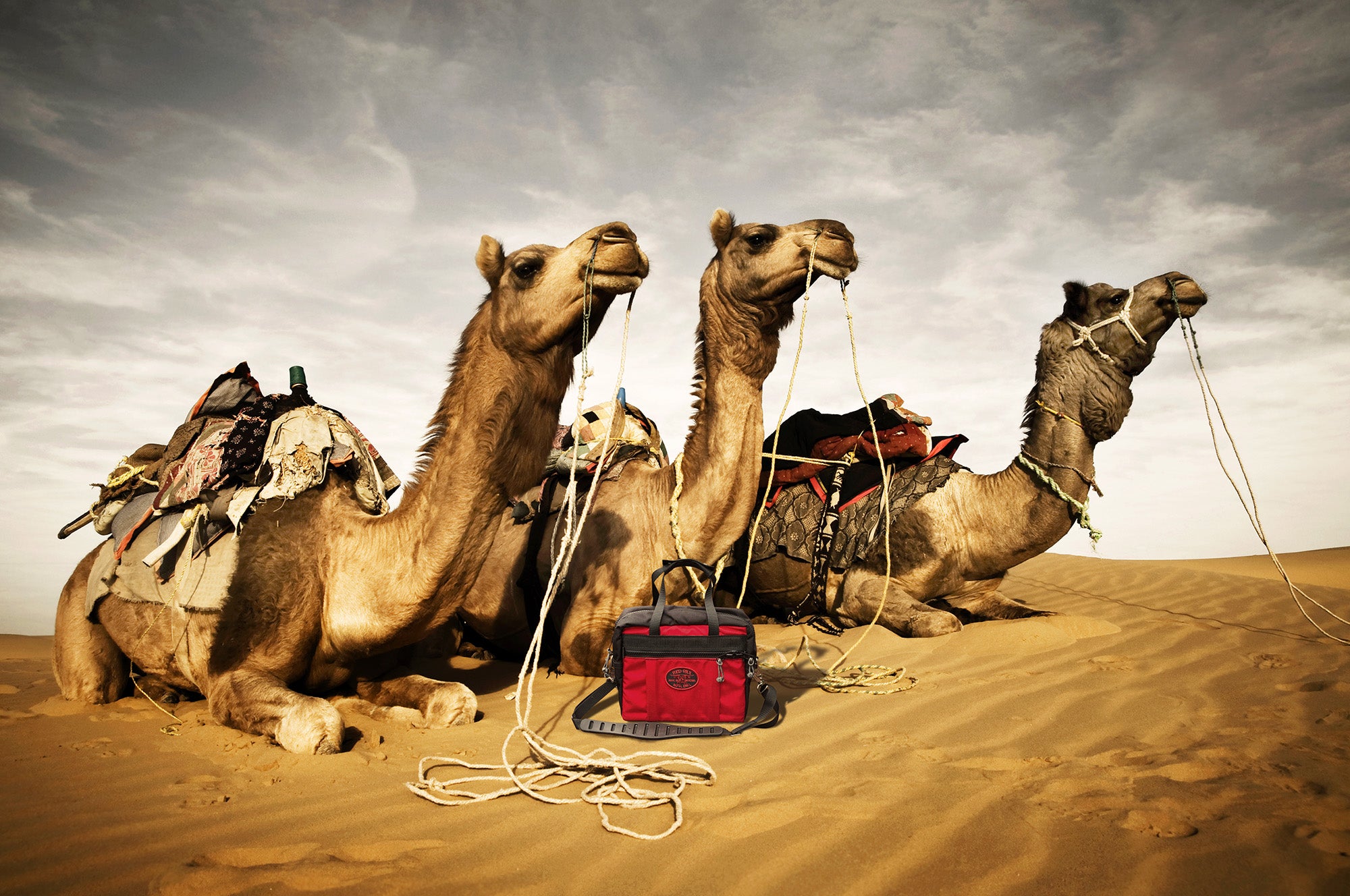 Gator EDC Bag Rides Tough on Camel Caravan