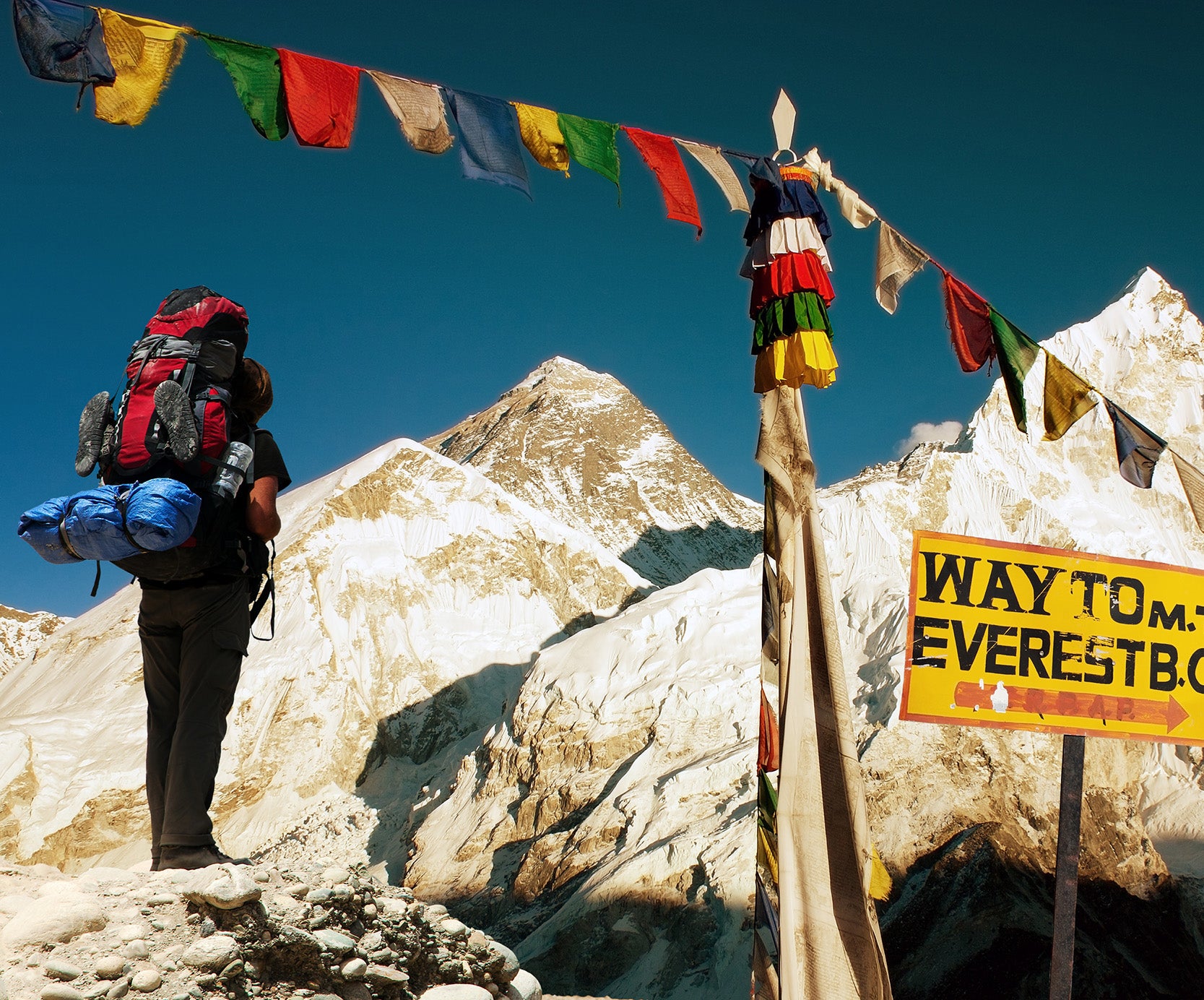 Mount everest backpack online