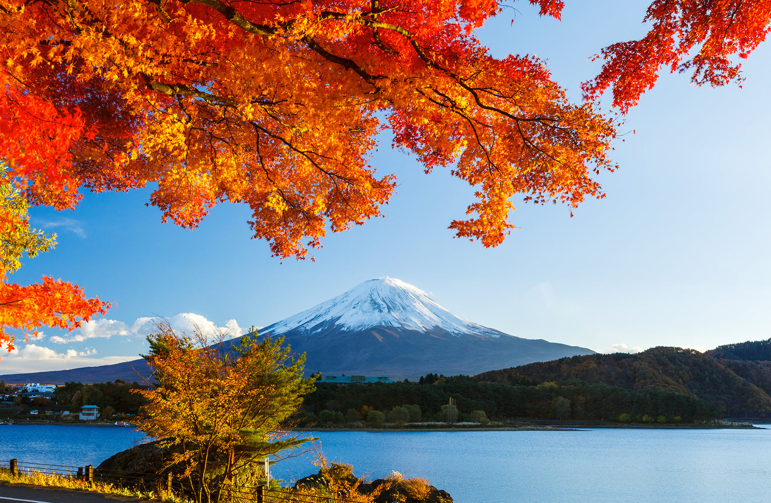 Sky Train Convertible Backpack Conquers Mount Fuji