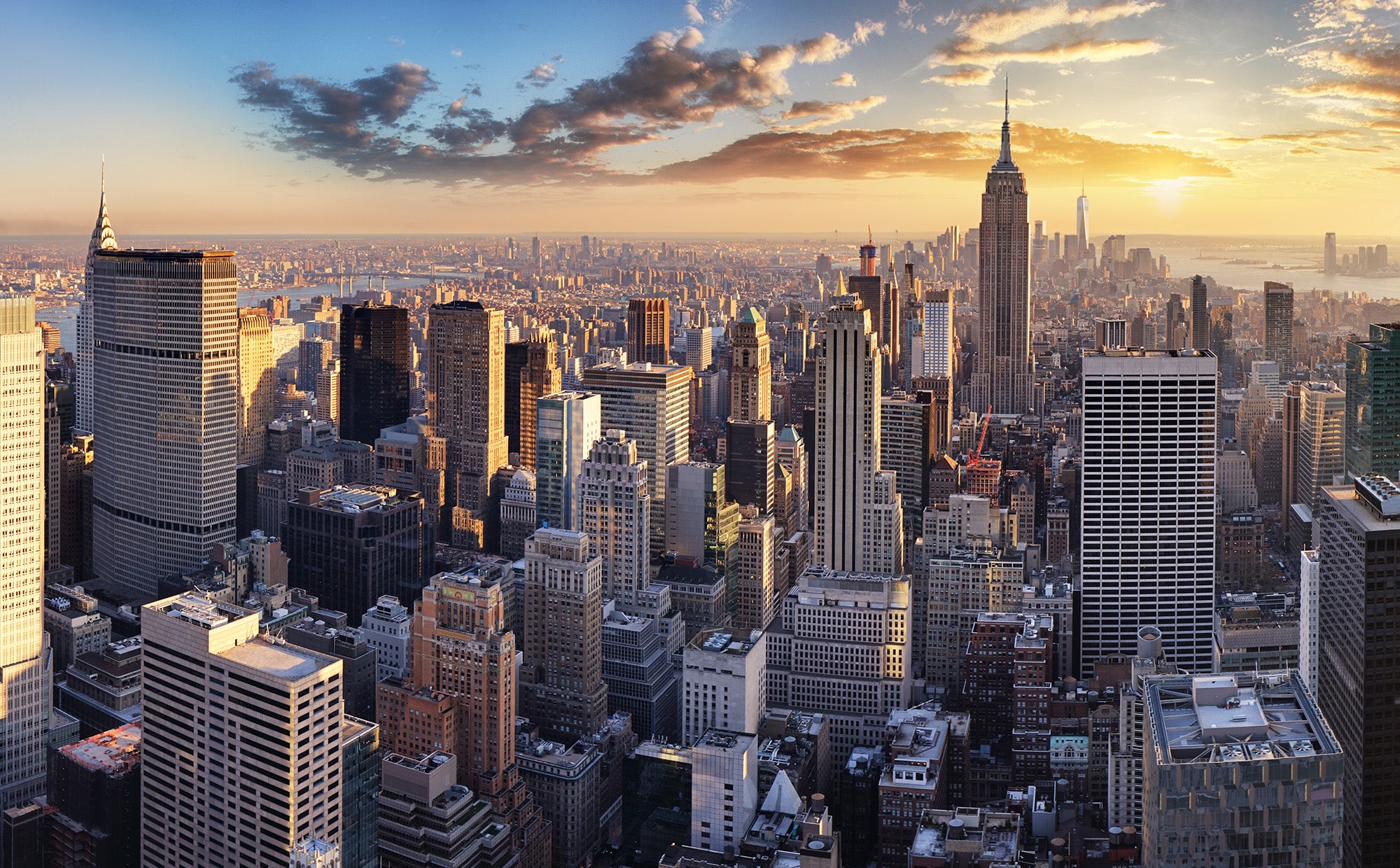 Gator Serves Diaper Duty in the Big Apple