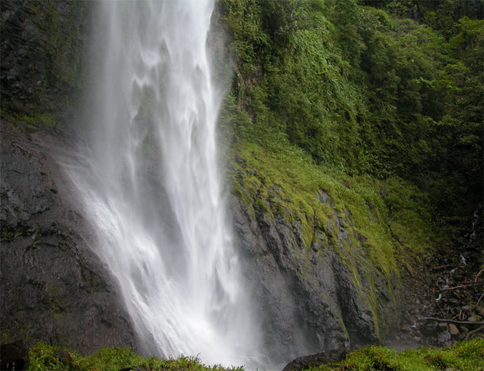 Paddle Harder, Faster on the Pacuares in Costa Rica - Cocos Island Part 2